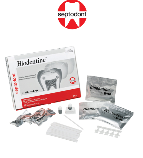 SEPTODONT Biodentine™ Bioaktif Dentin Tamir Materyali